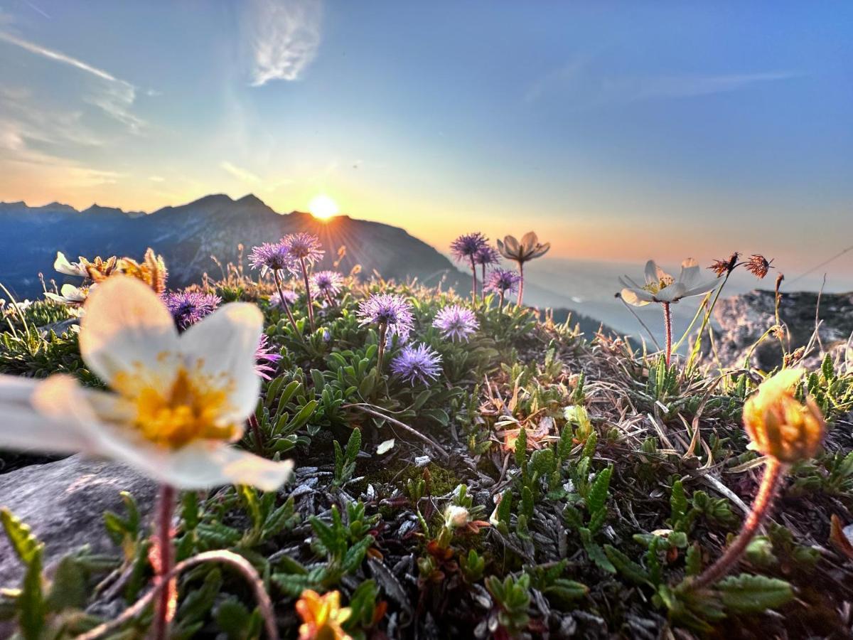 Ferienwohnung Gasser Hahnenkamm Blick 로이테 외부 사진